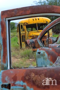 The end of the roadPleasanton, New Mexico